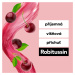 Robitussin Expectorans na odkašlávání 100 mg/5 ml sirup 100 ml