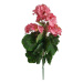 Umělá květina Muškát světle růžová, 47 cm
