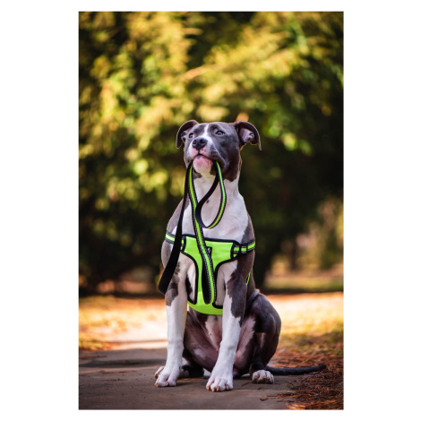 Vsepropejska Walk postroj pro psa s vodítkem | 37 – 75 cm Barva: Žlutá, Obvod hrudníku: 44 - 64 