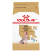 Royal Canin Dog Yorkshire 8+ - 1,5kg