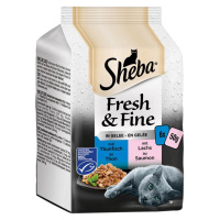 Sheba Fresh & Fine tuňák a losos v želé 36 × 50 g