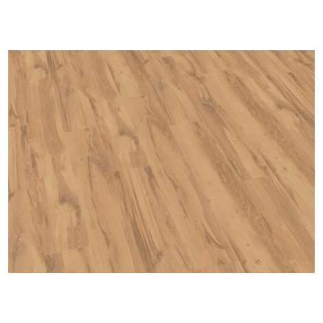 German Laminátová podlaha Excellent Oak Desert / tloušťka 8 mm / replika dubu / 1,86 m2 Varianta