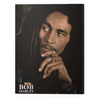 Obraz na plátně Bob Marley - Legend, 2 cm - 60×80 cm