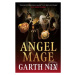 Angel Mage - Garth Nix - kniha z kategorie Beletrie pro děti