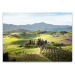 Skleněný obraz Styler Tuscany, 80 x 120 cm