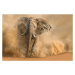 Fotografie Desertstorm, Marcel Egger, 40x26.7 cm