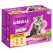 Whiskas Junior kombinované balení, výběr drůbežího masa v želé, 12 × 85 g