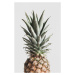 Fotografie Pineapple Natural, Studio Collection, 26.7 × 40 cm