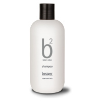 Broaer b2 silver color - šampon na šedivé a melírované vlasy 250 ml