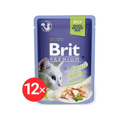 Brit Premium Cat Delicate Fillets in Jelly with Trout 12 × 85 g