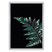 Dekoria Plakát Dark Fern Leaf, 21 x  30 cm, Volba rámku: Stříbrný