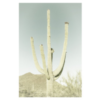 Fotografie SAGUARO NATIONAL PARK Giant Saguaro | Vintage, Melanie Viola, 26.7x40 cm
