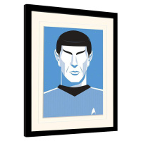 Obraz na zeď - Star Trek - Pop Spock - 50th Anniversary, 30x40 cm