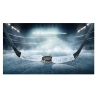 Fotografie Ice hockey players on the grand, FotografieLink, 40 × 22.2 cm