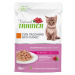 Natural Trainer Kitten & Young - krůtí (12 x 85 g)