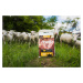 Marp Holistic Lamb ALS Grain Free 2kg