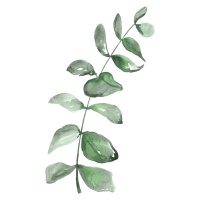 Ilustrace Watercolor greenery branch, Blursbyai, (30 x 40 cm)