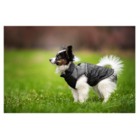 Vsepropejska Terenc obleček pro psa na zip Barva: Černá, Délka zad (cm): 35, Obvod hrudníku: 42 