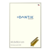 DANTIK rámeček 42 × 59,4, ALU profil 7269 Zlatý lesklý plexi čiré