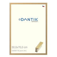 DANTIK rámeček 50 × 70, KASSETTE jasan plexi čiré