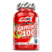 Amix Nutrition Vitamin C 1000mg, 100 kapslí