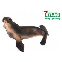 Atlas C Lachtan 10 cm