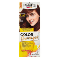 Schwarzkopf Palette Color Shampoo barva na vlasy Kaštanový 4-68 (236)