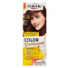 Schwarzkopf Palette Color Shampoo barva na vlasy Kaštanový 4-68 (236)