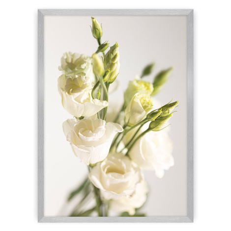 Dekoria Plakát Elegant Flowers, 21 x  30 cm, Volba rámku: Stříbrný