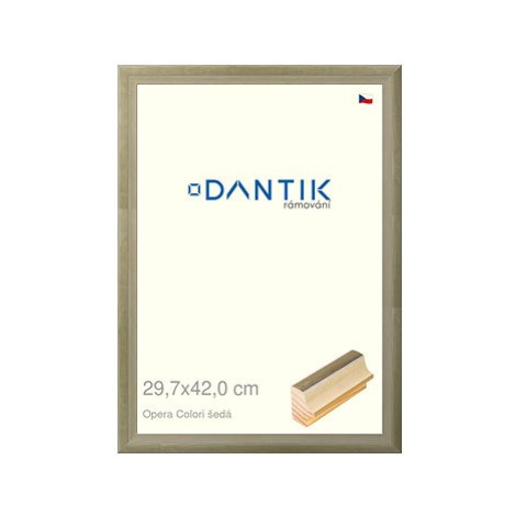 DANTIK rámeček 29,7 × 42, OPERA Colori šedý plexi čiré