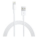 Apple Lightning to USB Cable 0.5m