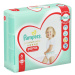 Pampers Premium Care Pants 6 EXTRA LARGE 15+ kg 31 ks