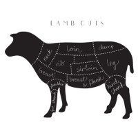 Ilustrace Lamb Cuts, Studio Collection, 40 × 26.7 cm