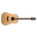 Takamine GD20, Rosewood Fingerboard - Natural