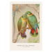 Ilustrace The Love Birds (Birds of the Tropics) - George Harris, (26.7 x 40 cm)