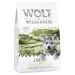 Little Wolf of Wilderness Junior - Green Fields - jehněčí - 1 kg