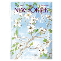 Ilustrace The NY Magazine Cover 325, 30 × 40 cm