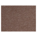 Betap koberce AKCE: 90x170 cm Metrážový koberec Rambo - Bet 93 - Bez obšití cm
