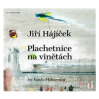 Plachetnice na vinětách - Jiří Hájíček