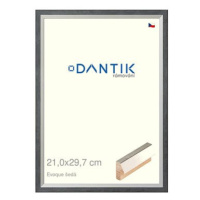 DANTIK rámeček 21 × 29,7, EVOQUE šedý sklo čiré