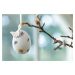 Villeroy & Boch Spring Fantasy závěsná porcelánová dekorace vajíčko, motýl