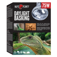 Repti Planet žárovka Daylight Basking Spot 75W
