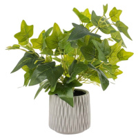 Umělá rostlina (výška 39 cm) Ivy – Ixia