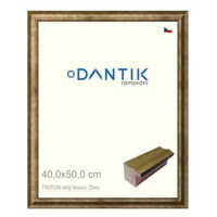 DANTIK rámeček 40 × 50, TRITON bílý bronz sklo čiré