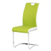 Jídelní židle ASHLEY zeleno-bílá