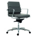 Kancelářská židle 8850 KASE Soft - nízká záda kůže Antares
