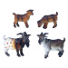 RAPPA Zvířata na farmě 4 v 1 kozy
