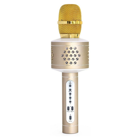 Mikrofon karaoke Bluetooth zlatý Teddies