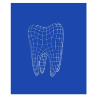 Fotografie 3D molar tooth, Boris SV, 35x40 cm