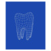 Fotografie 3D molar tooth, Boris SV, 35 × 40 cm